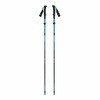 Black Diamond Distance Carbon FLZ Poles