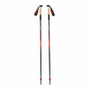 Black Diamond Pursuit Carbon Z Poles