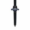 Black Diamond Trail Trekking Poles