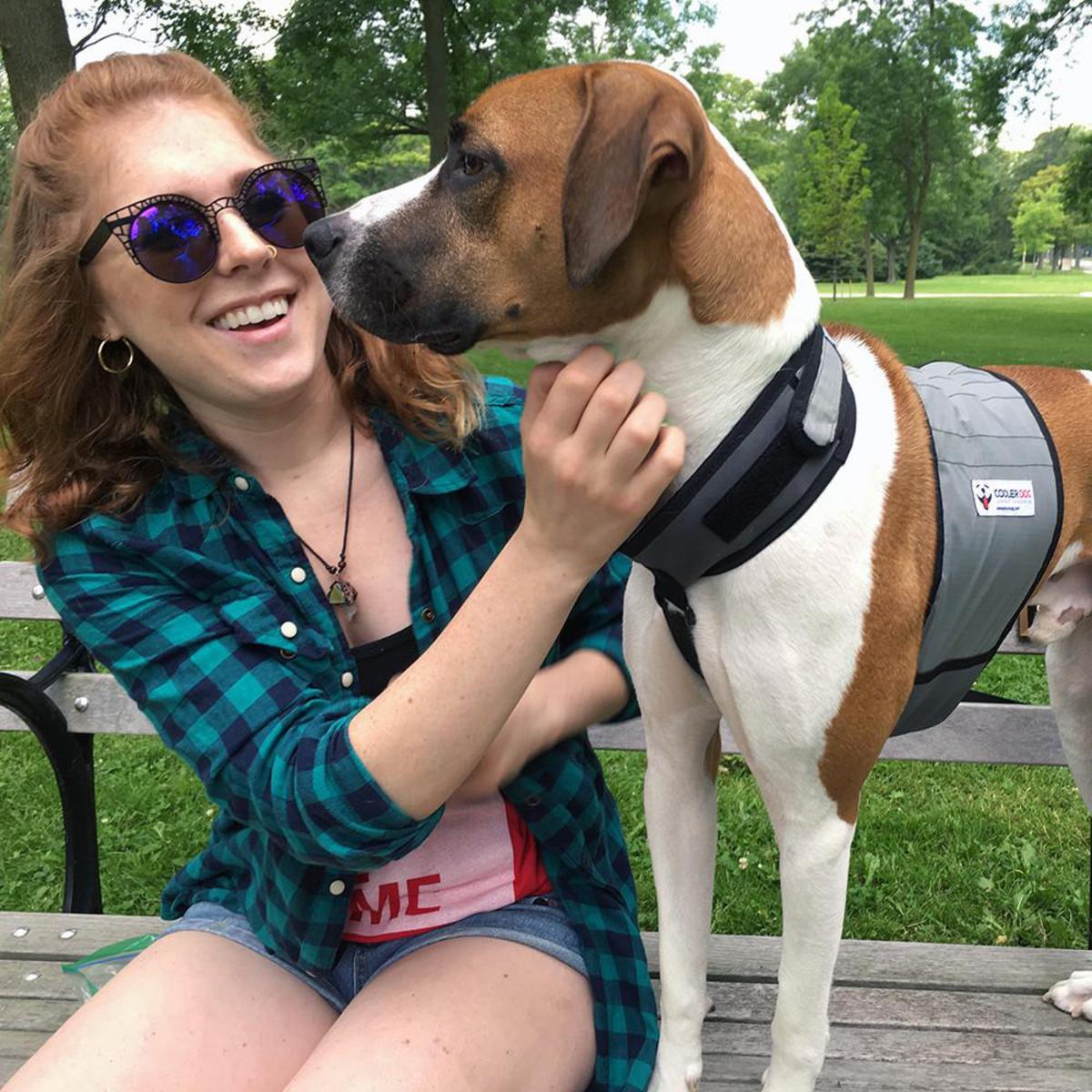 Cooler Dog Cooling Vest and Collar Medium My Cooling Store