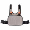 Ergodyne Chill-Its 6235 Standard Phase Change Cooling Vest (Vest Only)