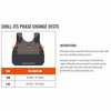 Ergodyne Chill-Its 6235 Standard Phase Change Cooling Vest (Vest Only)