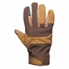 Glacier Glove El Jefe Gloves