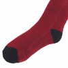 Glovii Heated Socks with Remote