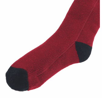 Glovii Heated Socks with Remote
