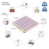 HealthyLine TAJ-Mat Small 2020 Firm - Photon PEMF InfraMat Pro