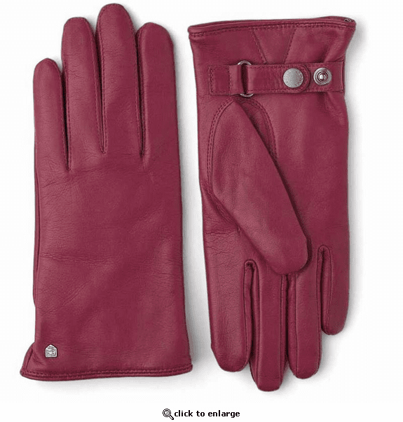 Hestra Sport Classic Asa Gloves