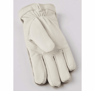 Hestra Sport Classic Saga Gloves