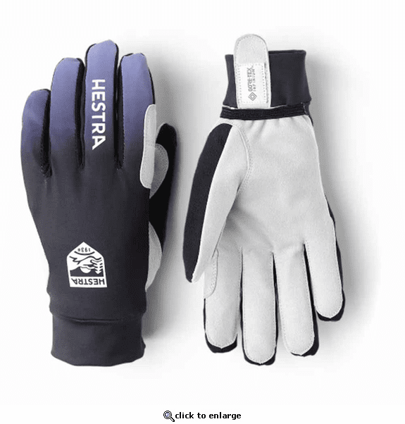 Hestra Unisex Infinium Momentum Ski Gloves