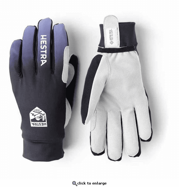 Hestra Unisex Infinium Momentum Ski Gloves