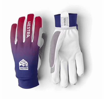 Hestra Unisex Infinium Momentum Ski Gloves