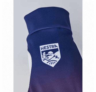 Hestra Unisex Infinium Momentum Ski Gloves