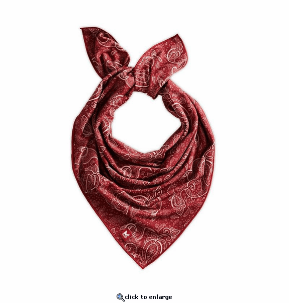 Mission HydroActive Cooling Bandana - Red Paisley
