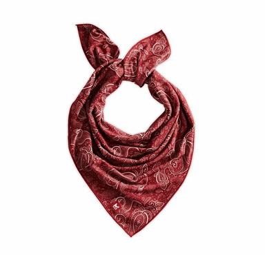 Mission HydroActive Cooling Bandana - Red Paisley