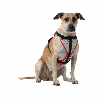 Nathan K9 Series Dog Harness Reflective