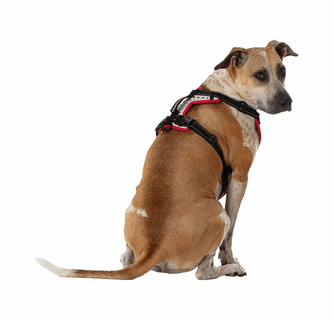 Nathan K9 Series Dog Harness Reflective