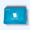 Polar Quest Cooling Fan Vest