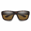 Smith Optics Arvo Sunglasses ChromaPop Polarized Brown - Matte Tortoise Frame
