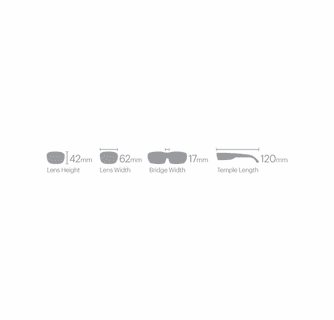 Smith Optics Guide's Choice Sunglasses ChromaPop Polarized Brown - Matte Tortoise Frame