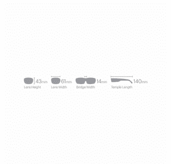 Smith Optics Riptide Sunglasses ChromaPop Polarized Brown - Matte Tortoise Frame