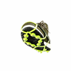 Snowline Spikes Hexa Ice Cleats