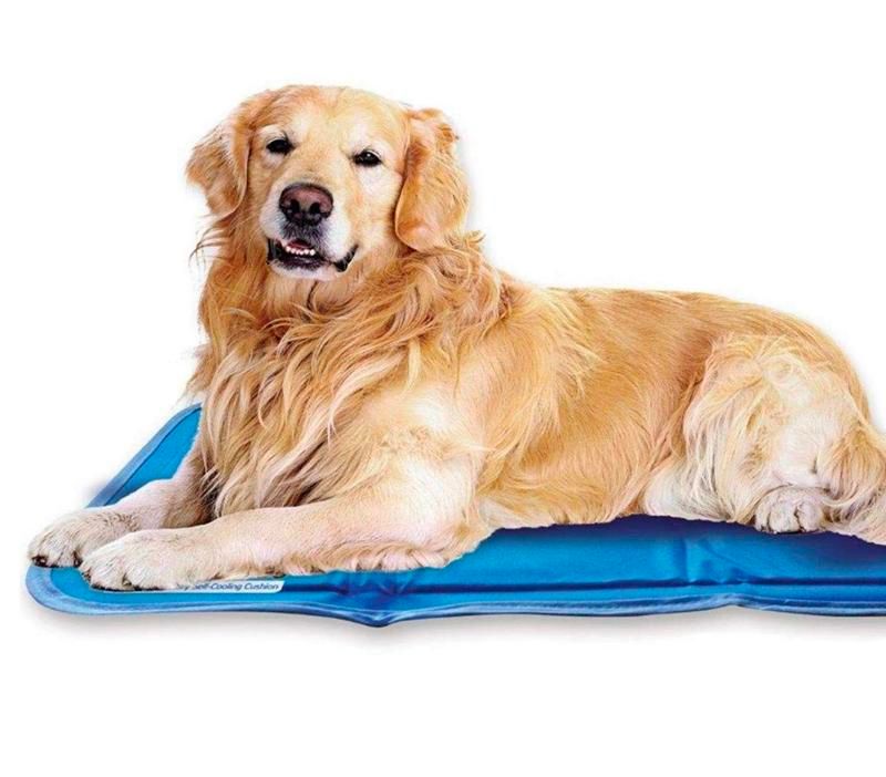 The Green Pet Shop SelfCooling Pet Pad Large My Cooling Store
