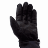 Therm-ic Nordic Exploration Gloves
