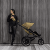 Thule Urban Glide 3 All Terrain Stroller - Black