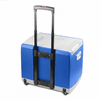 Wagan 12V Thermo-Electric 46Q Cooler/Warmer