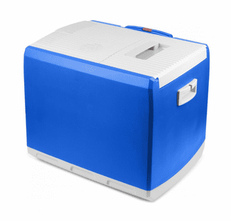 Wagan 12V Thermo-Electric 46Q Cooler/Warmer