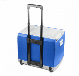 Wagan 12V Thermo-Electric 46Q Cooler/Warmer