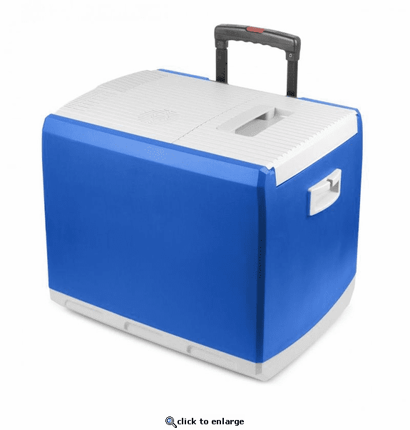 Wagan 12V Thermo-Electric 46Q Cooler/Warmer