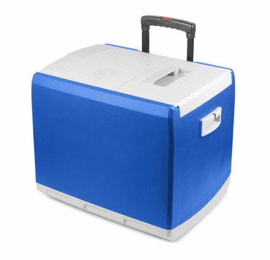 Wagan 12V Thermo-Electric 46Q Cooler/Warmer