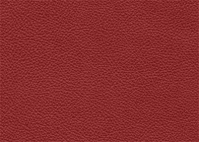 Leather - Salvador-Caboose