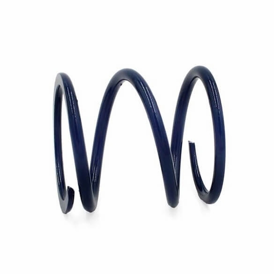 EPI Dark Blue Primary Clutch Spring - 2024-25 Polaris RZR XP 1000, Xpedition - alt image 0