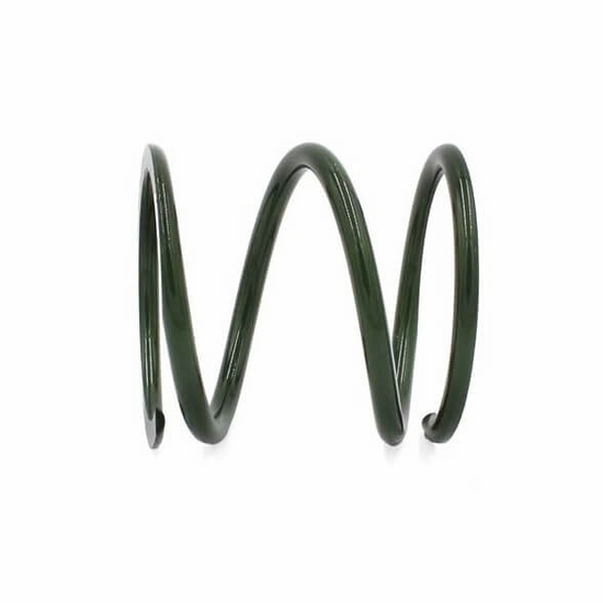 EPI Dark Green Primary Clutch Spring - 2024-25 Polaris RZR XP 1000, Xpedition - alt image 0