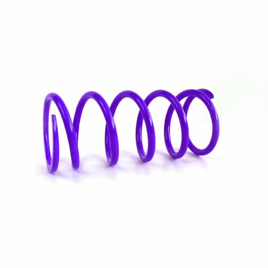EPI Dark Purple Primary Clutch Spring - 2016-25 Can Am Defender, Commander, Maverick, 2018 Textron Havoc X