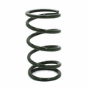 EPI Green Secondary Clutch Spring  - 2024-25 Polaris RZR XP 1000, Xpedition