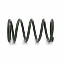 EPI Green Secondary Clutch Spring  - 2024-25 Polaris RZR XP 1000, Xpedition