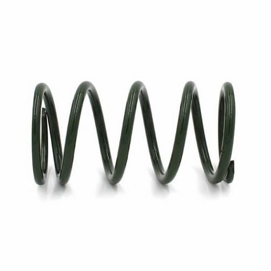 EPI Green Secondary Clutch Spring  - 2024-25 Polaris RZR XP 1000, Xpedition - alt image 0