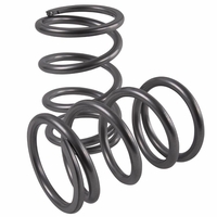 High Lifter REAR Tender Lift Springs - 2015-16 Polaris RZR S 1000, S 900