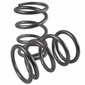 High Lifter Rear Tender Springs - 2014-24 Polaris RZR XP 1000, RS1