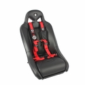 Pro Armor 2 Inch Wide Passenger Side Auto-Style Harness - Red