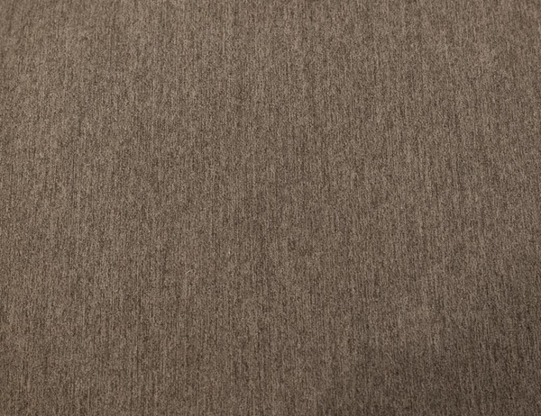 Balam Padded Dining Chair