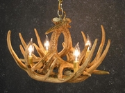 Caring for your Antler Chandelier