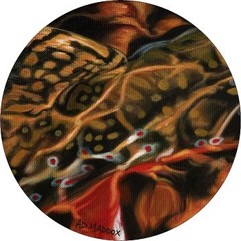 Guise of a Brook Rug