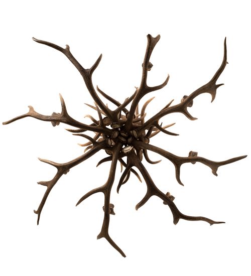 Meyda 66" Wide Antlers Elk 8 LT Chandelier
