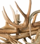Meyda 71" Long Antlers Deer 10 Light Oblong Chandelier
