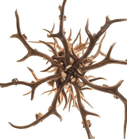 Meyda 72" Wide Antlers Elk 24 Light Chandelier
