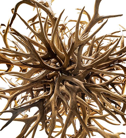 Meyda 84" Wide Antlers 16 Light Chandelier